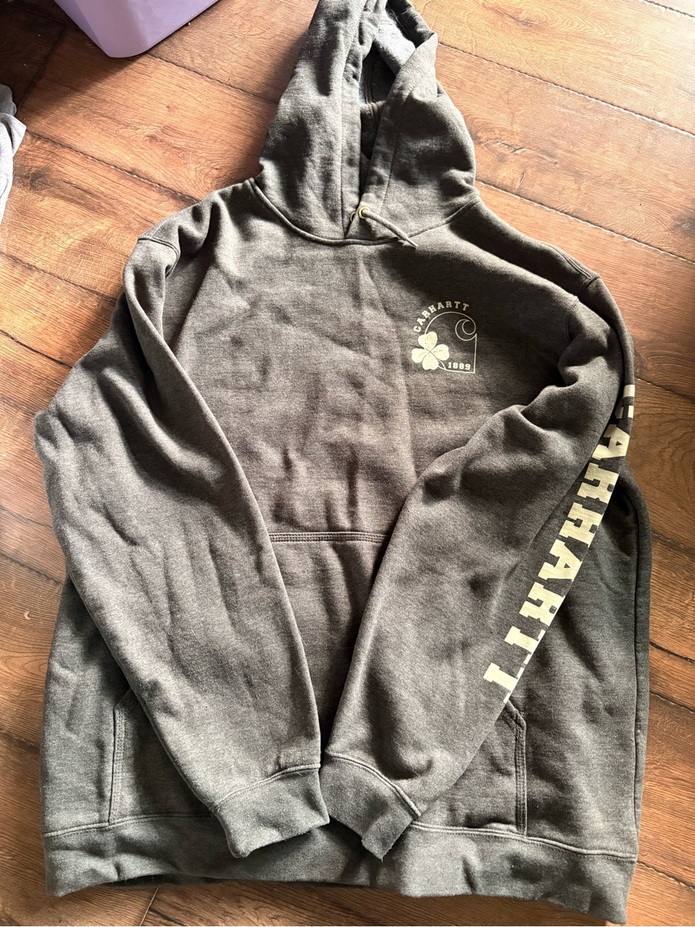 Carhartt 1889 Graphic Hoodie Sweatshirt